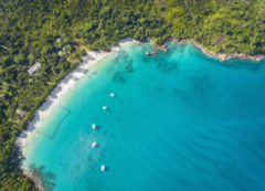 注冊(cè)塞舌公司類(lèi)型及優(yōu)勢(shì)有哪些？