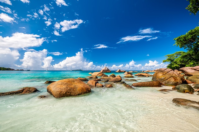 塞舌爾公司注冊全攻略:關(guān)鍵要點與注意事項