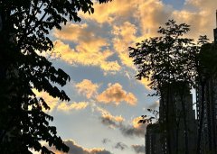 注冊毛里求斯公司所需文件詳解