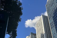 孟加拉公司注銷清算報(bào)告核心內(nèi)容解析