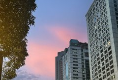 厘清邊界：土耳其公司注銷與停業(yè)的本質(zhì)區(qū)別